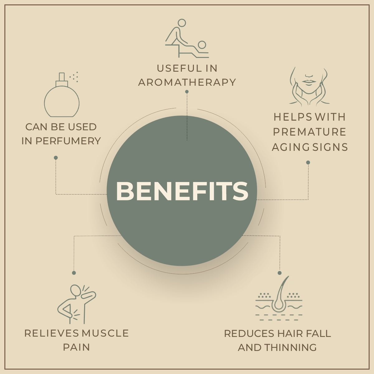 Shoprythm Natural Essential Oils Blue Cypress Oil Shoprythm Natural Essential Oils Blue Cypress Oil